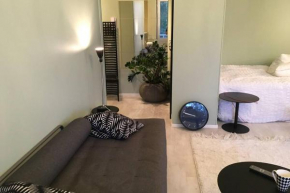 Kauniit yksiöt, 600m keskustaan, ilm parkit Oulu